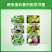 60%嘧霉胺异菌脲蔬菜黄瓜茄子辣椒瓜果灰霉病专用杀菌剂