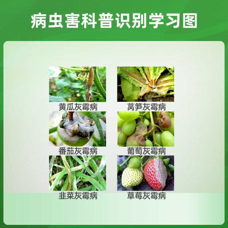 60%嘧霉胺异菌脲蔬菜黄瓜茄子辣椒瓜果灰霉病专用杀菌剂