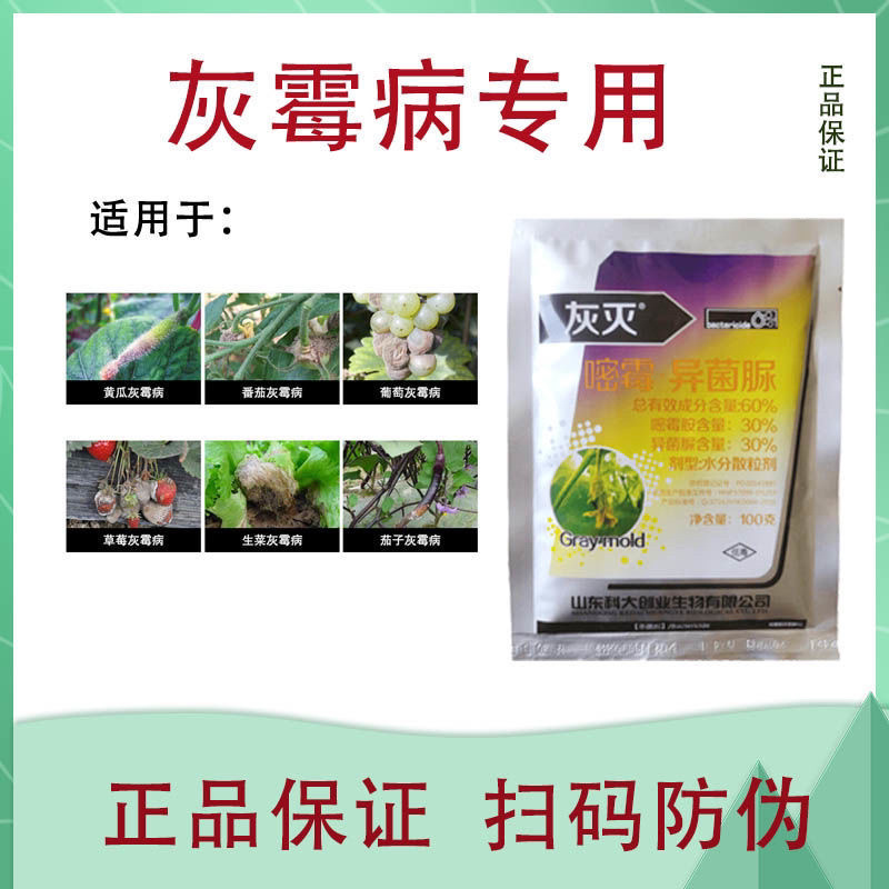 60%嘧霉胺异菌脲蔬菜黄瓜茄子辣椒瓜果灰霉病专用杀菌剂