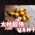 小籽甜柿砧种子鸟柿种子太秋好苗～砧木亲和是关键