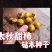 小籽甜柿砧种子鸟柿种子太秋好苗～砧木亲和是关键