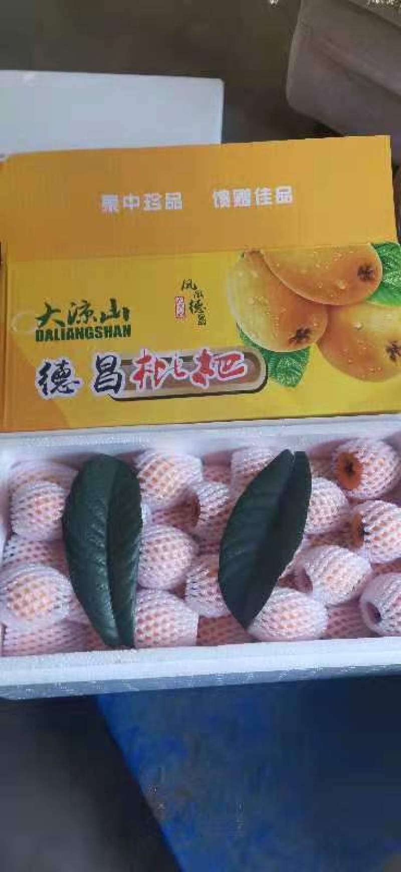 大凉山五星枇杷果大量出售中对接全国客商，甜蜜多汁