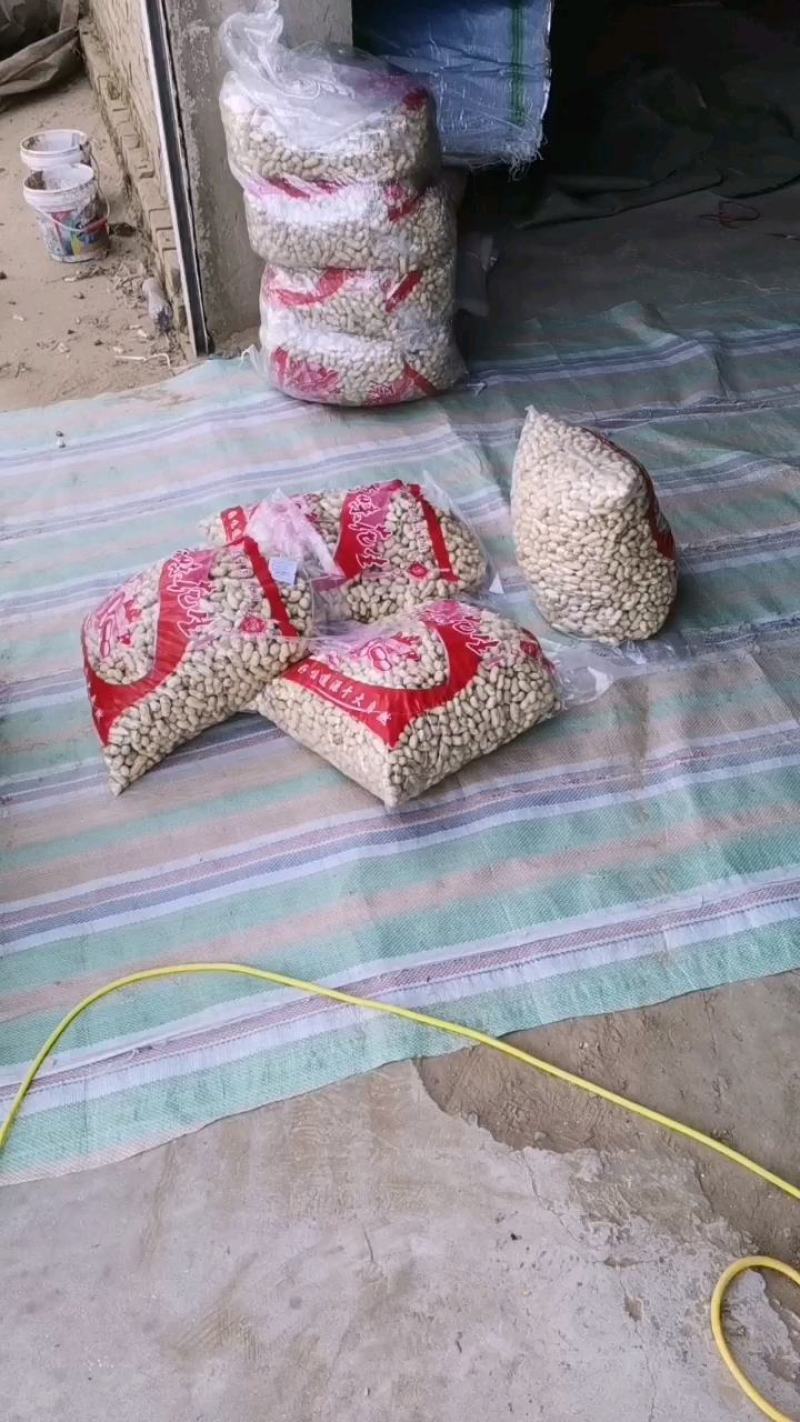 河北原味铁锅炒花生原味熟花生大量出售价格合理质量可靠