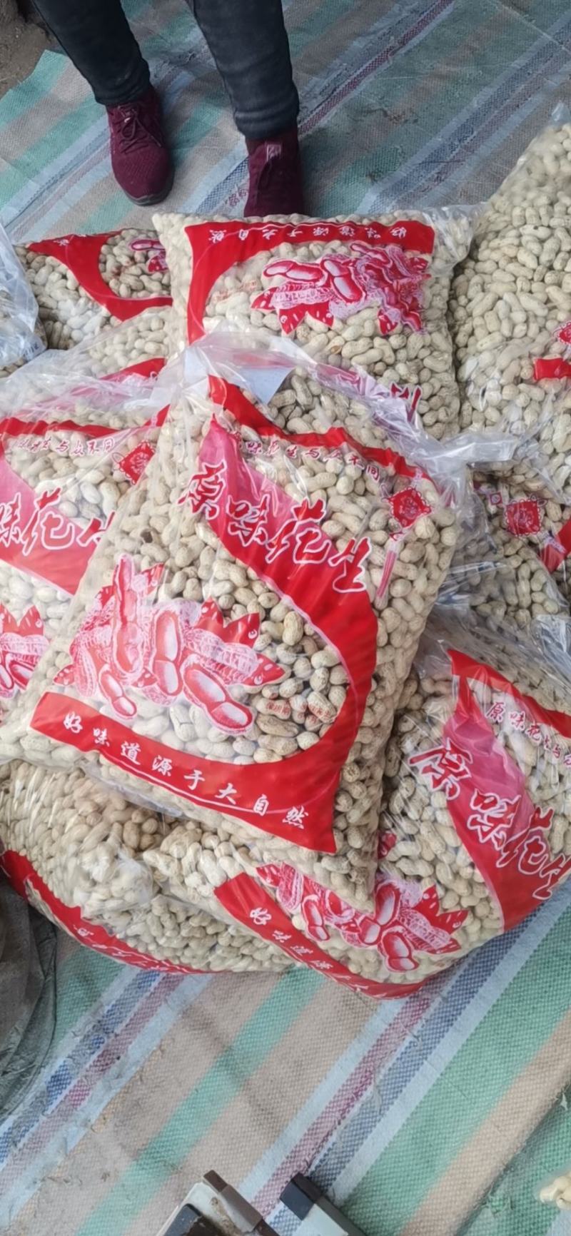 河北原味铁锅炒花生原味熟花生大量出售价格合理质量可靠