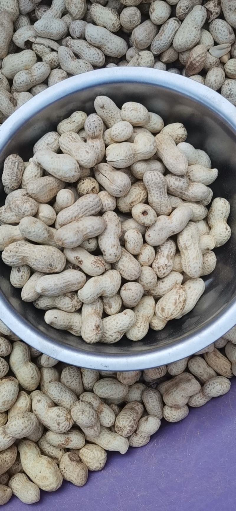 河北原味铁锅炒花生原味熟花生大量出售价格合理质量可靠