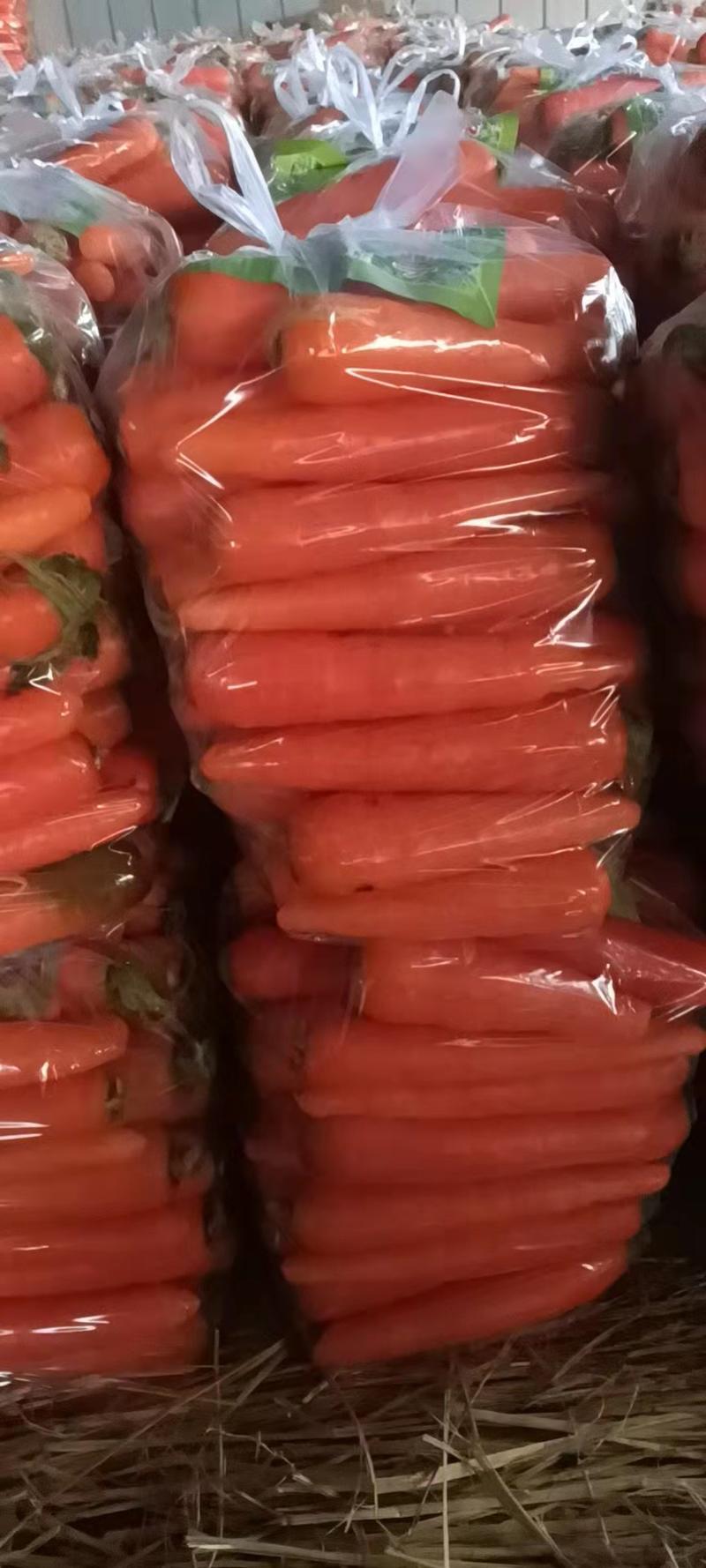 精品红萝卜大量上市啦！欢迎新老客户前来采购合作！