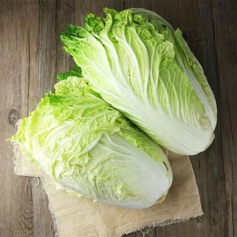 白菜黄心大白菜精品黄心大白菜对接全国量大从优
