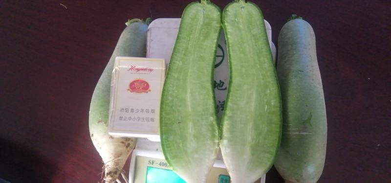 50水果萝卜急出售