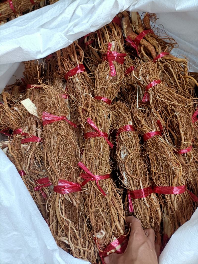 纯无硫五指毛桃鲜品，干品长期有货。