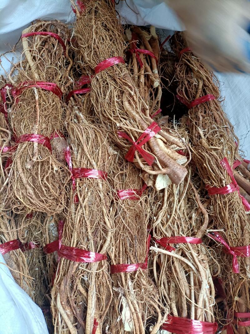 纯无硫五指毛桃鲜品，干品长期有货。