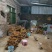 纯无硫五指毛桃鲜品，干品长期有货。