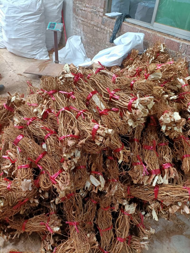 纯无硫五指毛桃鲜品，干品长期有货。