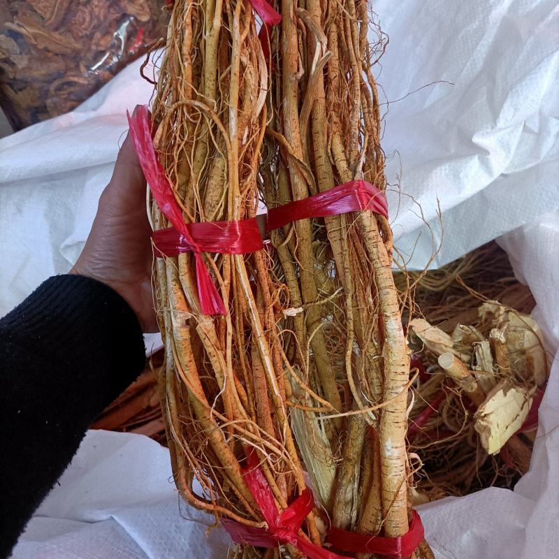 纯无硫五指毛桃鲜品，干品长期有货。