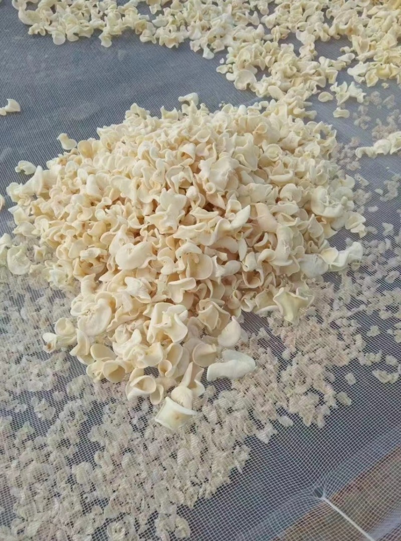 白木耳精选【干货】泡厂家基地直销，欢迎批发咨询