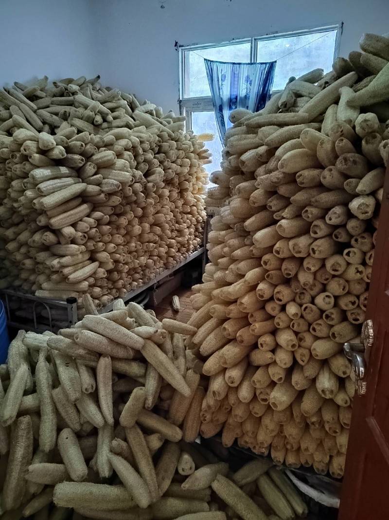 天然丝瓜络刷锅神器厨房家用洗碗清洁丝瓜瓤洗碗布不沾油百洁