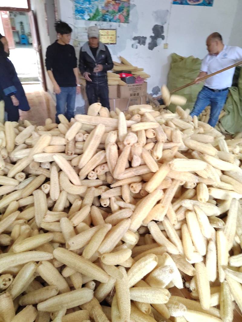 天然丝瓜络刷锅神器厨房家用洗碗清洁丝瓜瓤洗碗布不沾油百洁