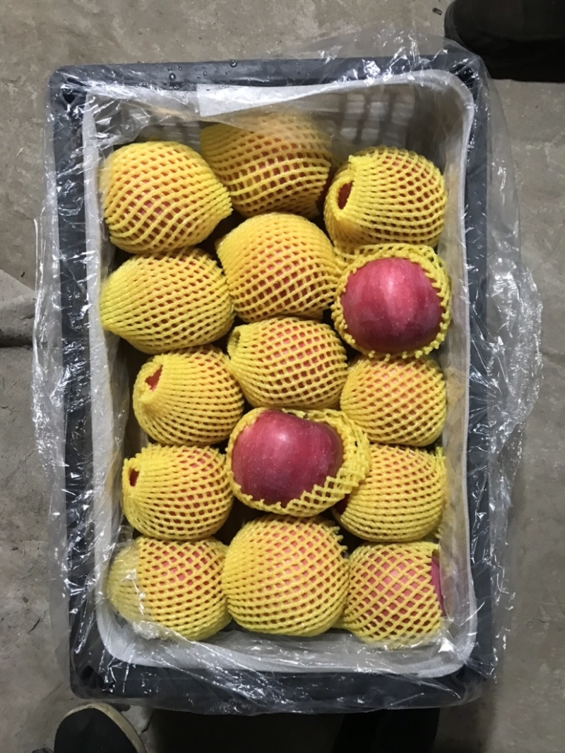 精品红富士苹果，基地货源量大承接电商社区团够全国发货