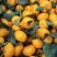 南丰蜜桔皮薄多汁好吃不腻想要蜜橘的老板可以联系我