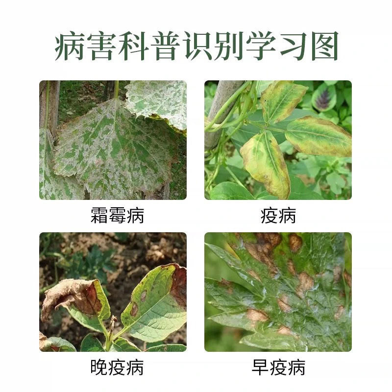 64%噁霜灵代森锰锌黄瓜辣椒葡萄霜霉病疫病杀菌剂农药