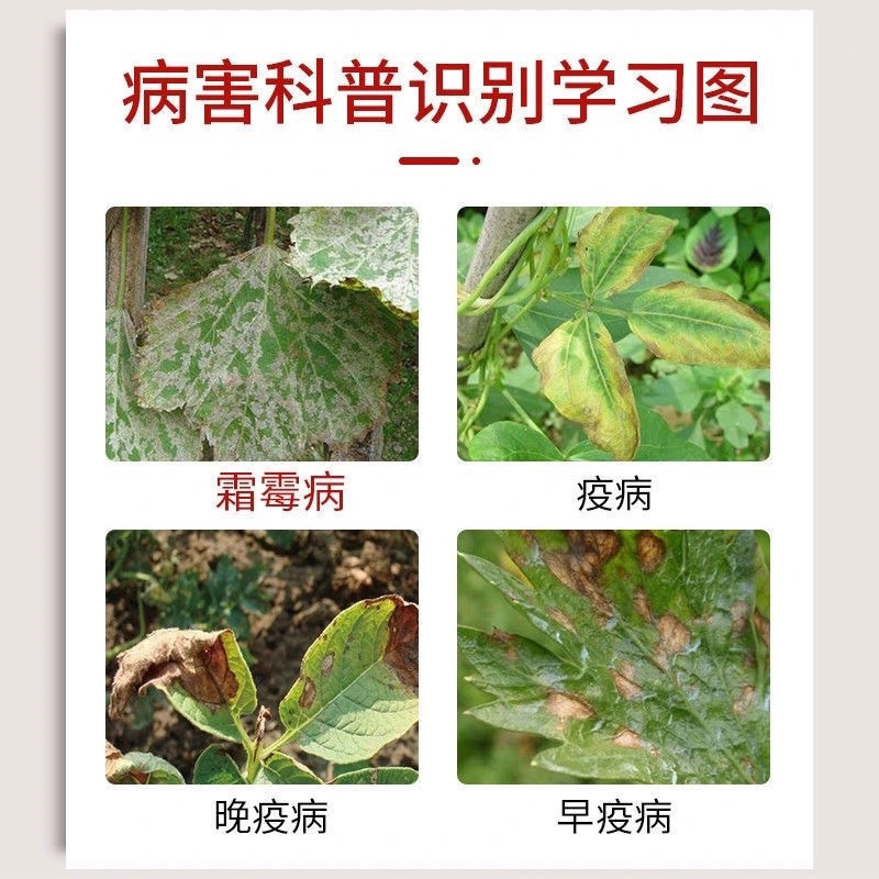 64%噁霜灵代森锰锌黄瓜辣椒葡萄霜霉病疫病杀菌剂农药