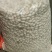 白果银杏