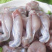 牛蛙肉鲜活现杀净牛蛙