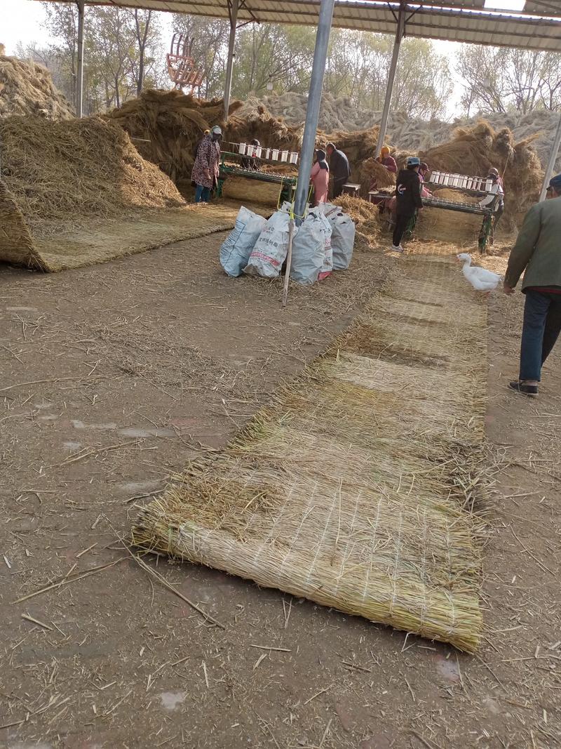 草帘子批发，治沙稻草，草纤维，稻壳配送，产地直销保质保量