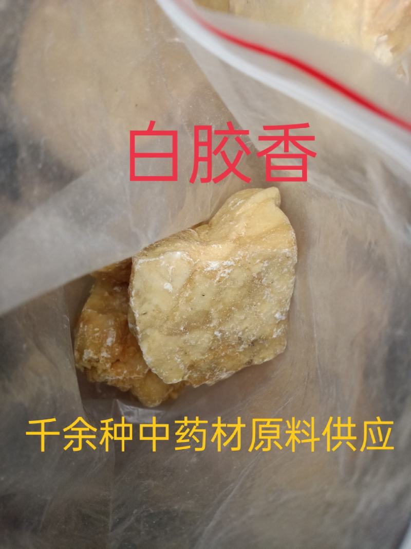 白胶香，中药材白胶香质量保证经营各种中药材欢迎咨询选购！