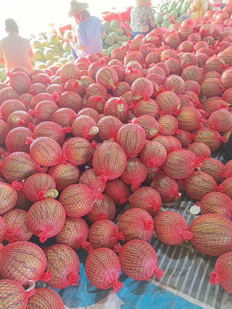 麒麟西瓜