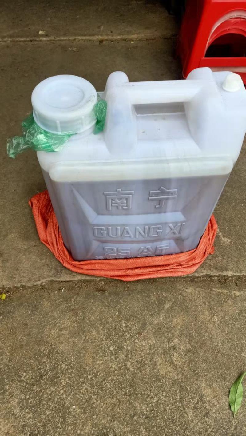 野生的山茶油