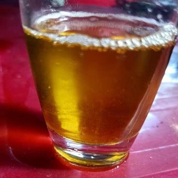 野生的山茶油