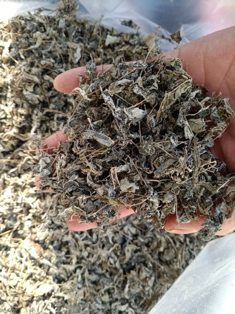 中药材高山溪黄茶野生新货莓茶藤茶溪黄草茶叶苦甘露茶