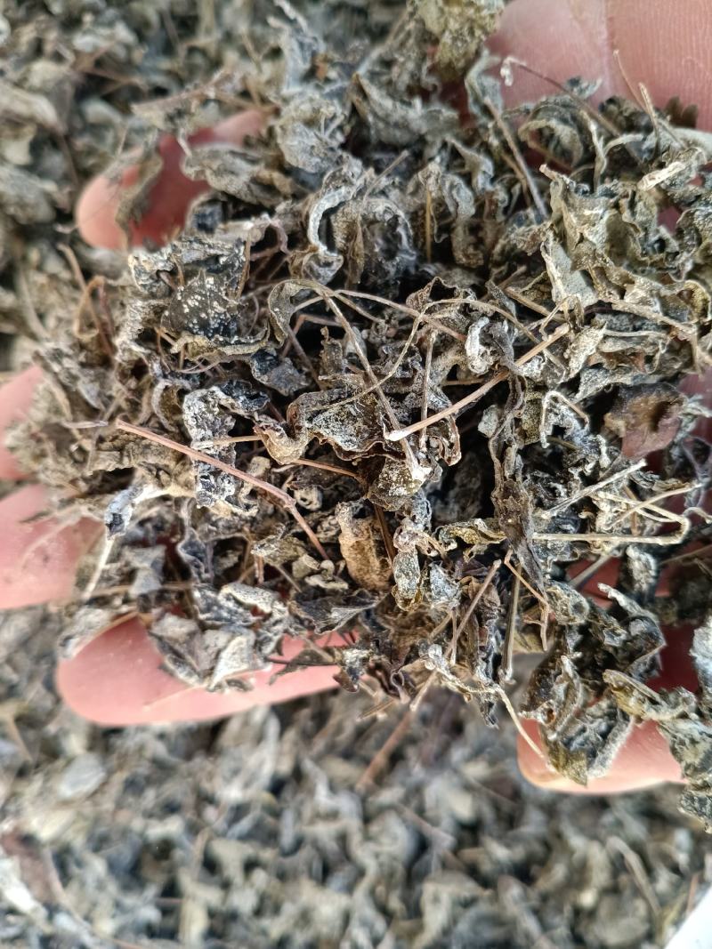 中药材高山溪黄茶野生新货莓茶藤茶溪黄草茶叶苦甘露茶