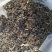 中药材高山溪黄茶野生新货莓茶藤茶溪黄草茶叶苦甘露茶