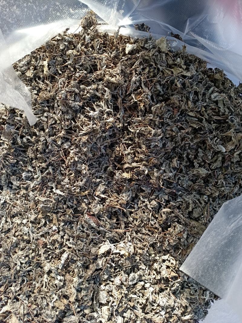 中药材高山溪黄茶野生新货莓茶藤茶溪黄草茶叶苦甘露茶