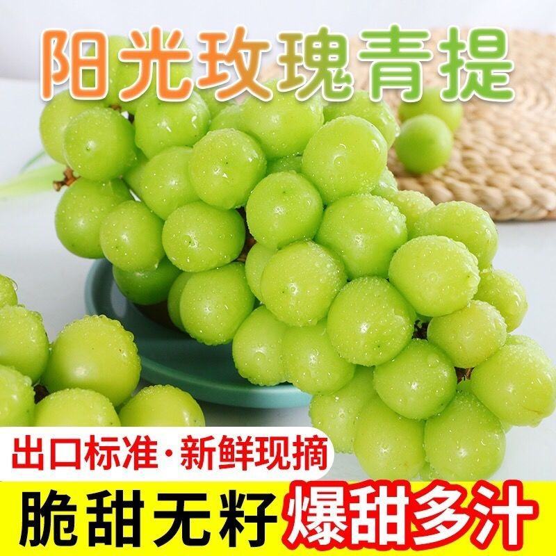 山东阳光玫瑰葡萄，货源充足，量大从优，对接全国市场.商超