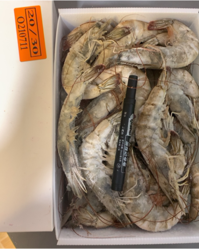 厄瓜多尔虾南美白虾对虾进口对虾盐冻虾