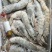 厄瓜多尔虾南美白虾对虾进口对虾盐冻虾