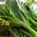 青甜菜心种子四九菜心种籽阳台庭院盆栽四季播种蔬菜苔种子