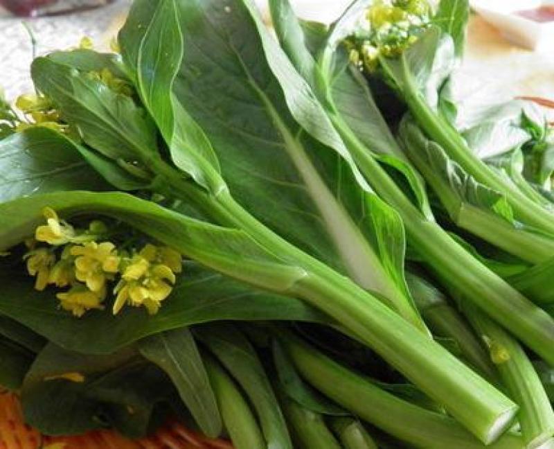 青甜菜心种子四九菜心种籽阳台庭院盆栽四季播种蔬菜苔种子