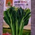 青甜菜心种子四九菜心种籽阳台庭院盆栽四季播种蔬菜苔种子