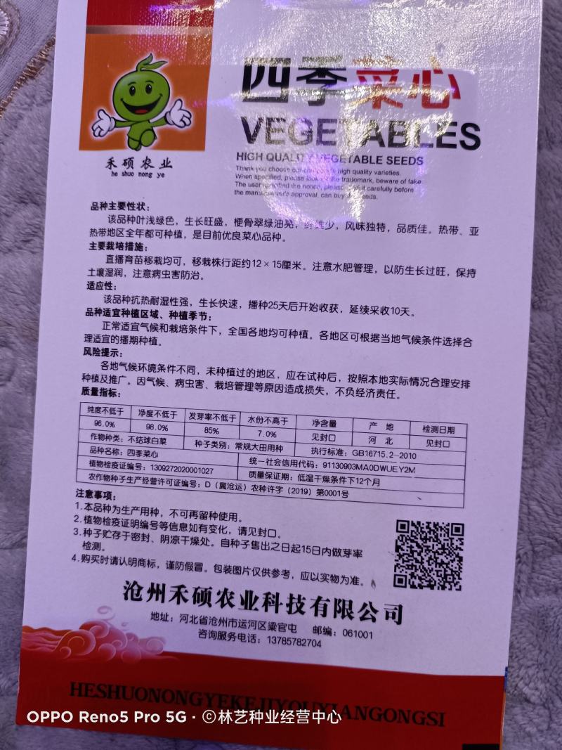 青甜菜心种子四九菜心种籽阳台庭院盆栽四季播种蔬菜苔种子