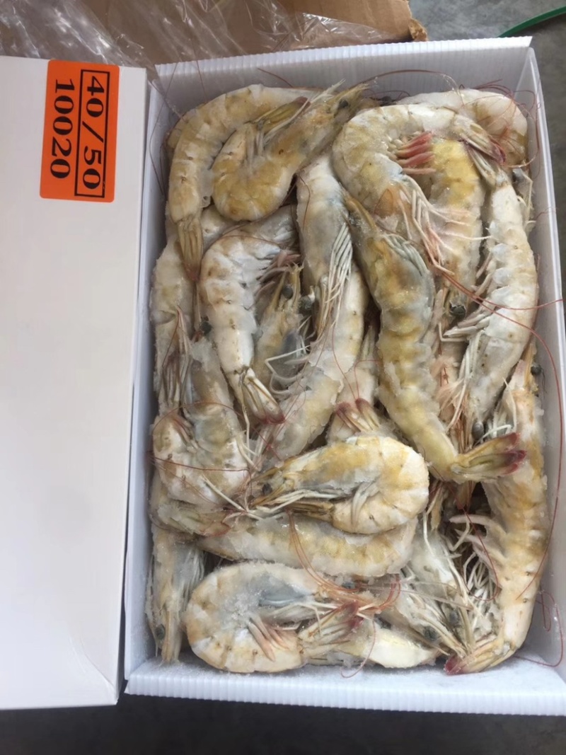 厄瓜多尔虾南美白虾对虾进口对虾盐冻虾