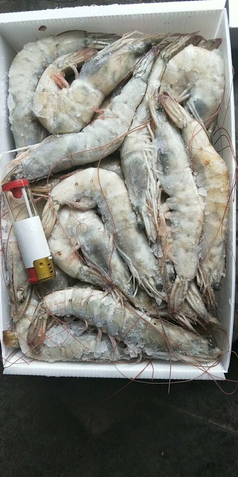 南美白虾盐冻虾白虾鲜活速冻品质保证一盒四斤