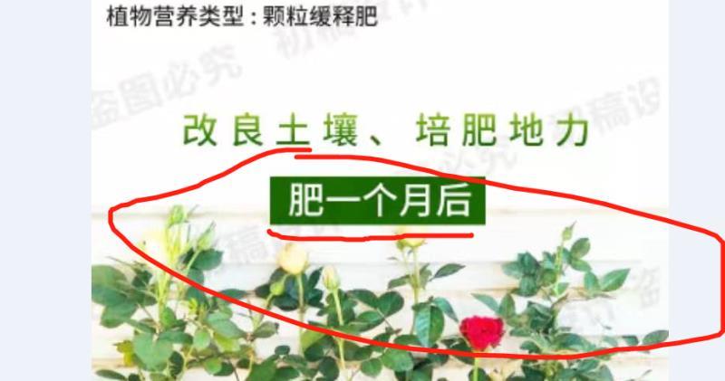 鸡粪微生物菌发酵有机肥生物菌颗粒肥蔬果专用有机肥