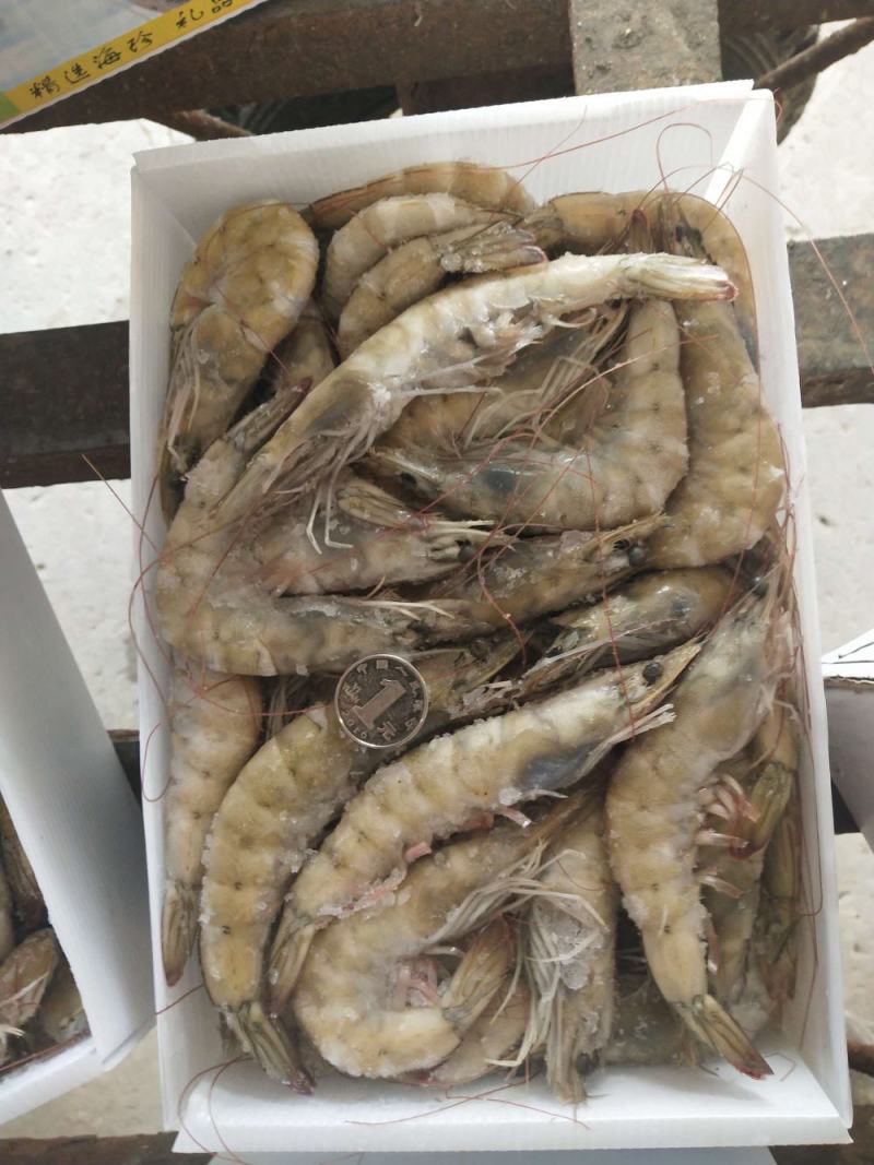 海捕大虾对虾单冻大虾大板散装工厂直销可预订刨冰量