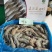 海捕大虾对虾单冻大虾大板散装工厂直销可预订刨冰量