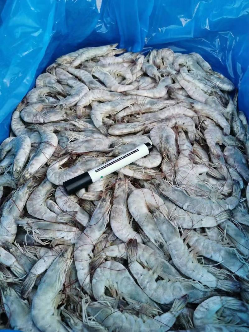 海捕大虾对虾单冻大虾大板散装工厂直销可预订刨冰量
