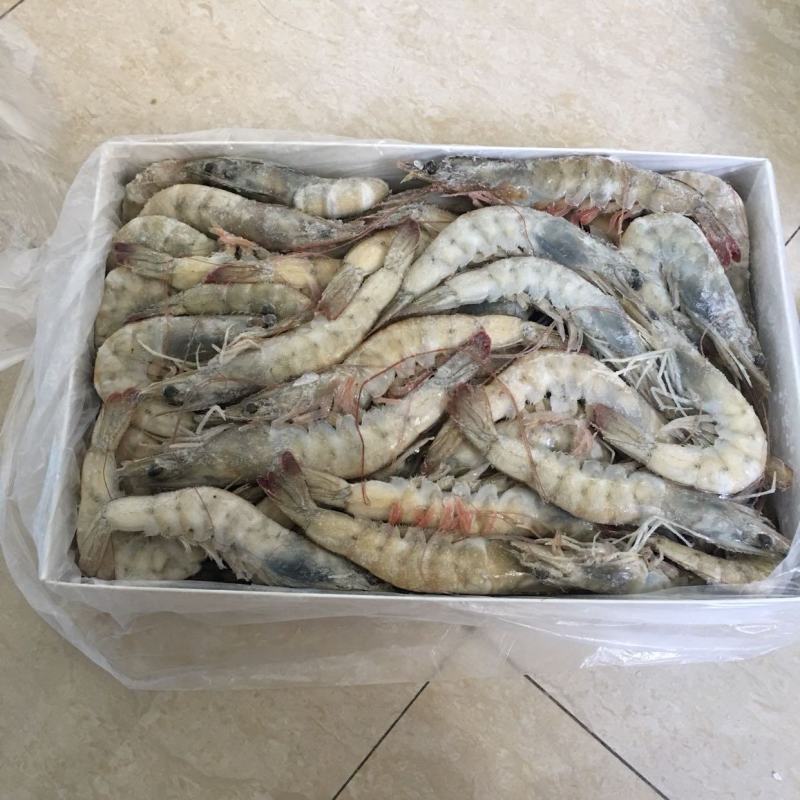 海捕大虾对虾单冻大虾大板散装工厂直销可预订刨冰量