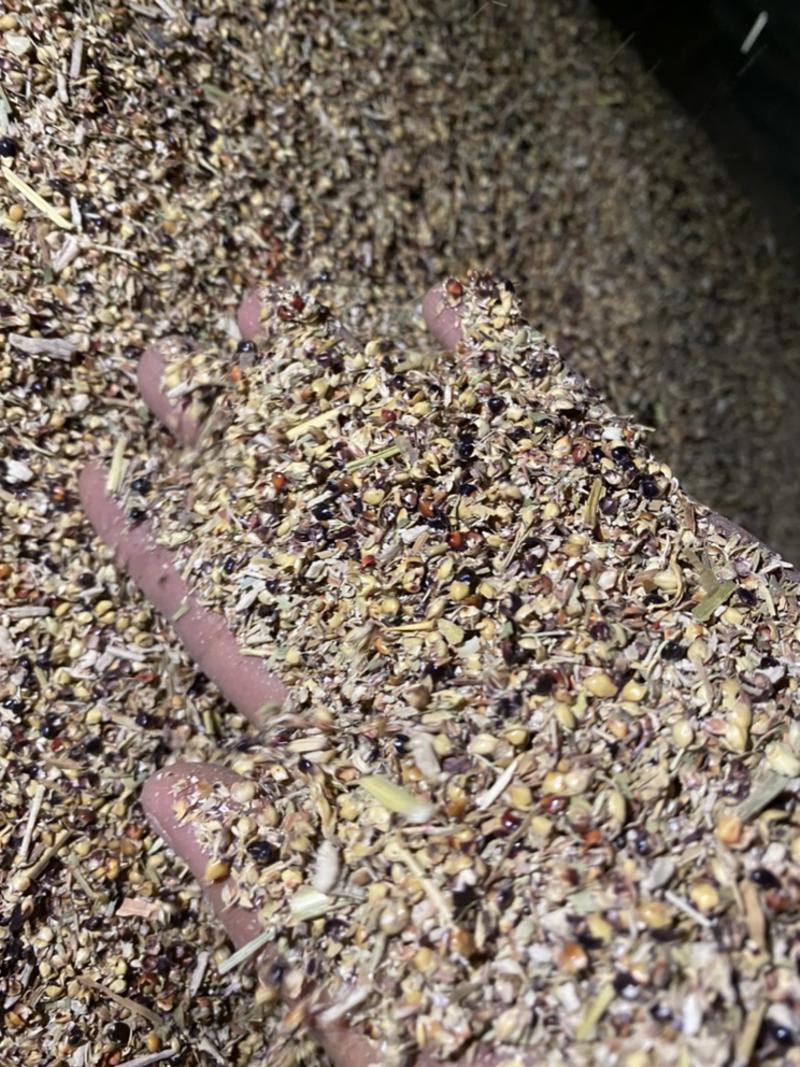 厂家直供高粱壳牛羊饲料养殖好品质高粱壳做枕芯填充